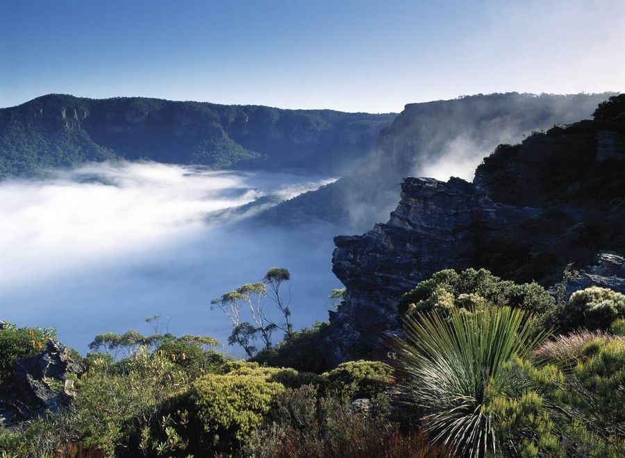 View Blue Mountains