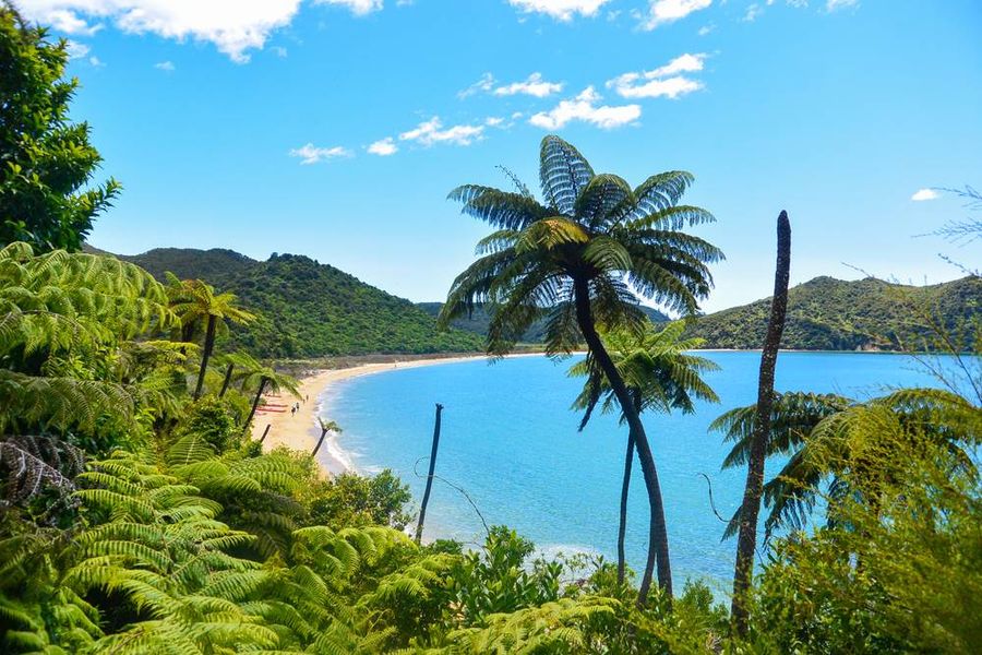 Abel Tasman 1