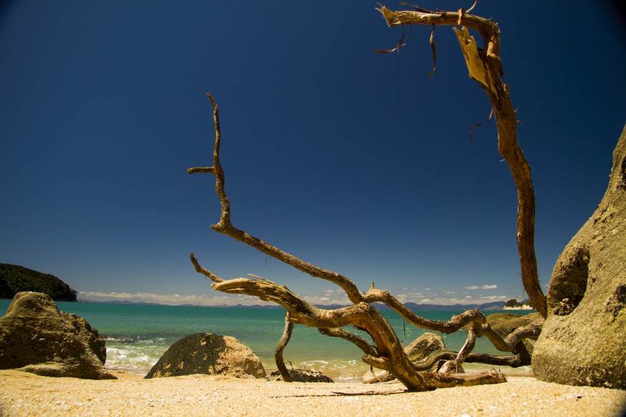 Abel Tasman 6