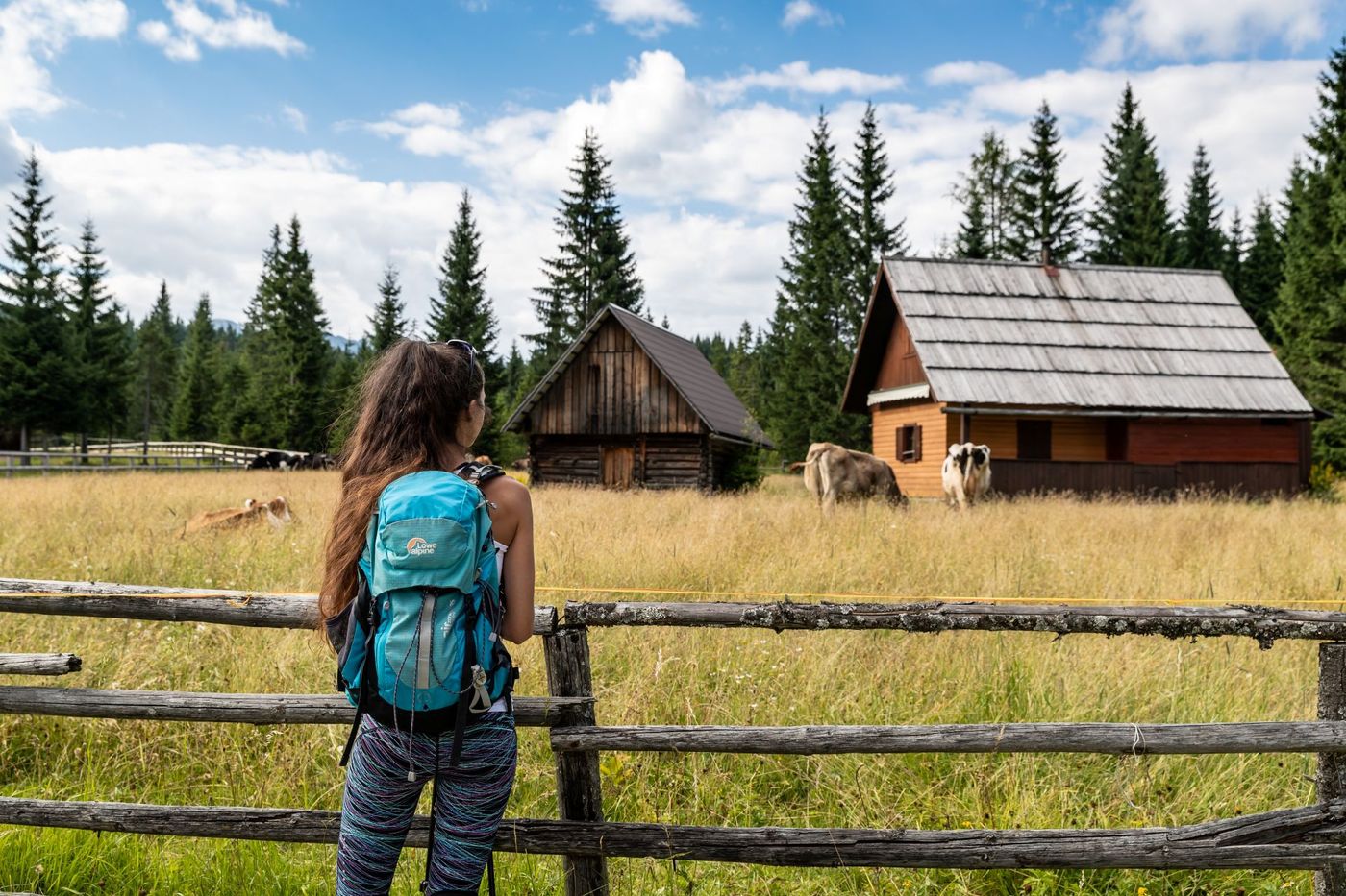 Alpine Pastures of GoreljekPokljuka - supplied by Juliana Travels
