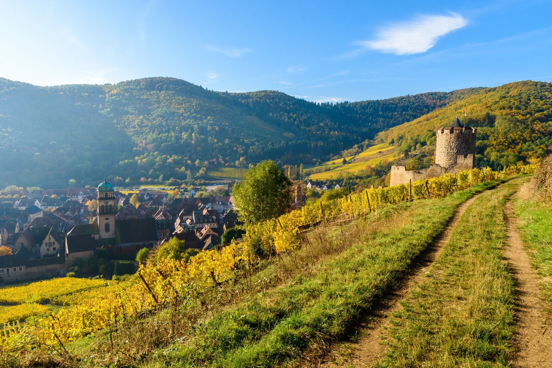 Alsace