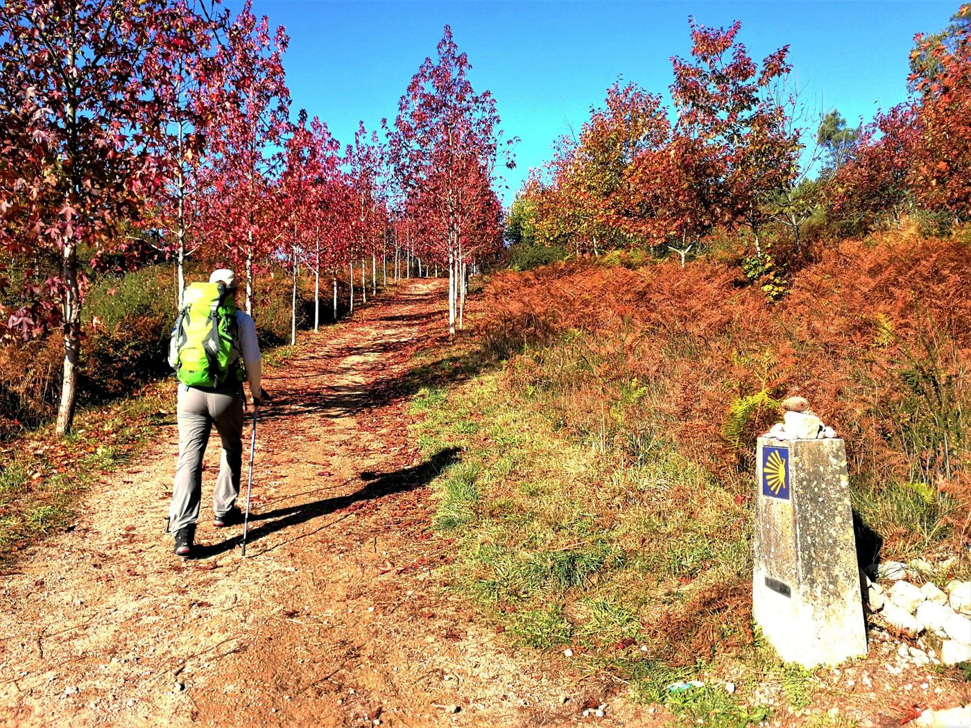 Autumnal-Hike-on-the-Camino