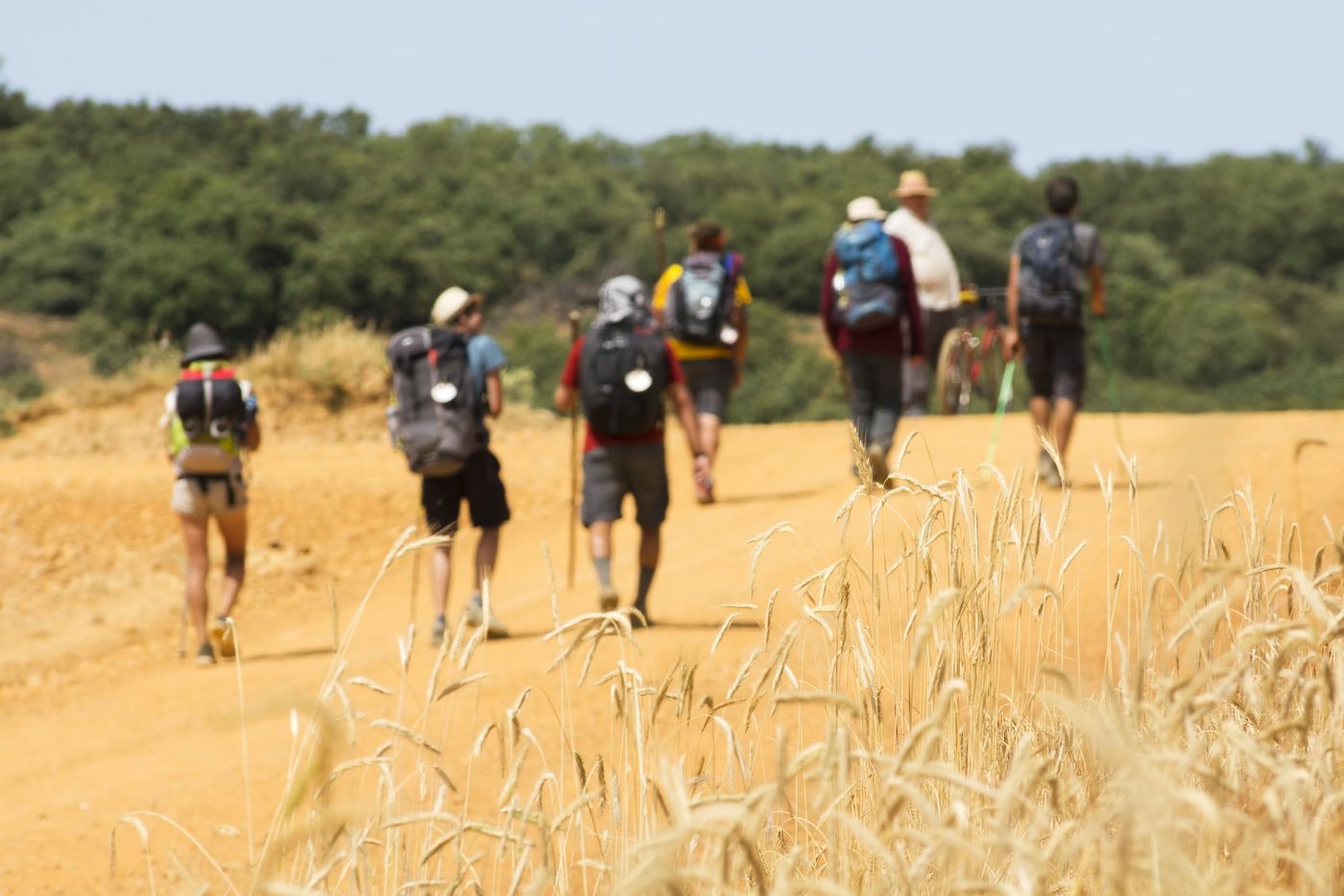 Camino-de-Santiago-Trekkers-pilgrims-near-Astorga