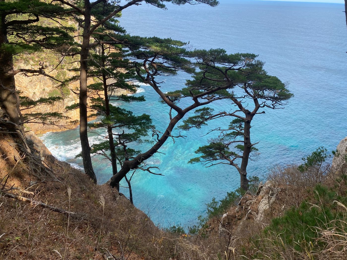 Coast and beach Michinoku Coastal Trail 5