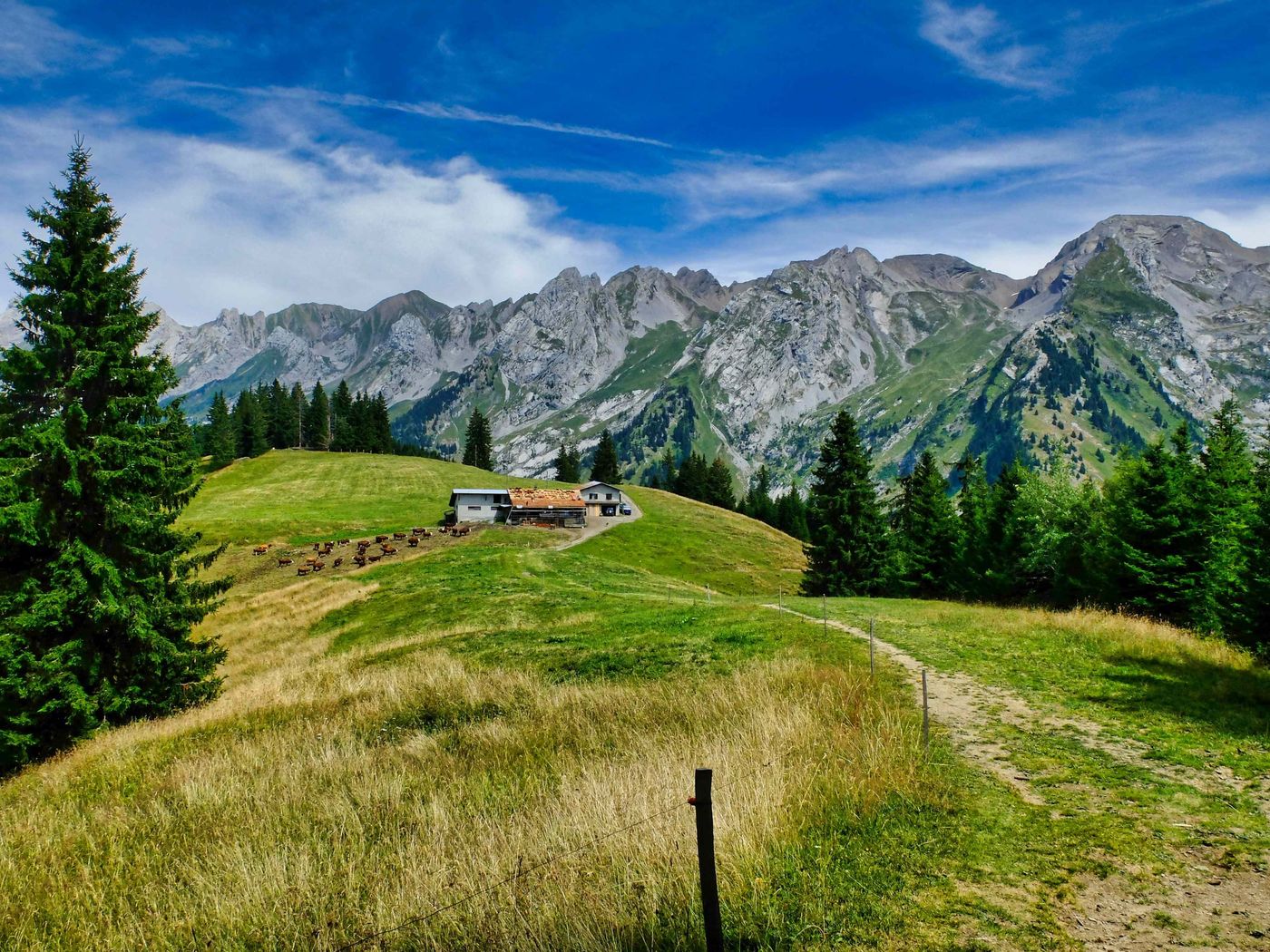 D2 - Mountain farm in the Aravis Pasture 2 - Alps Small