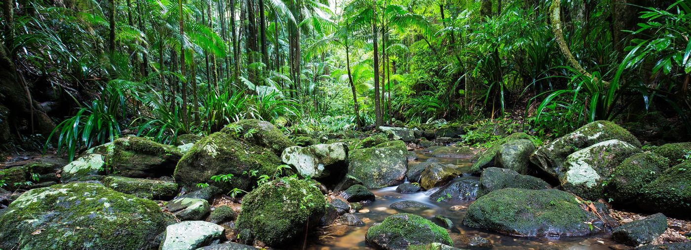 Gold Coast Hinterland