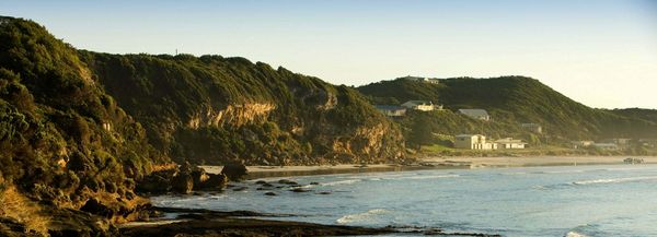 Great South West Walk Cape Bridgewater
