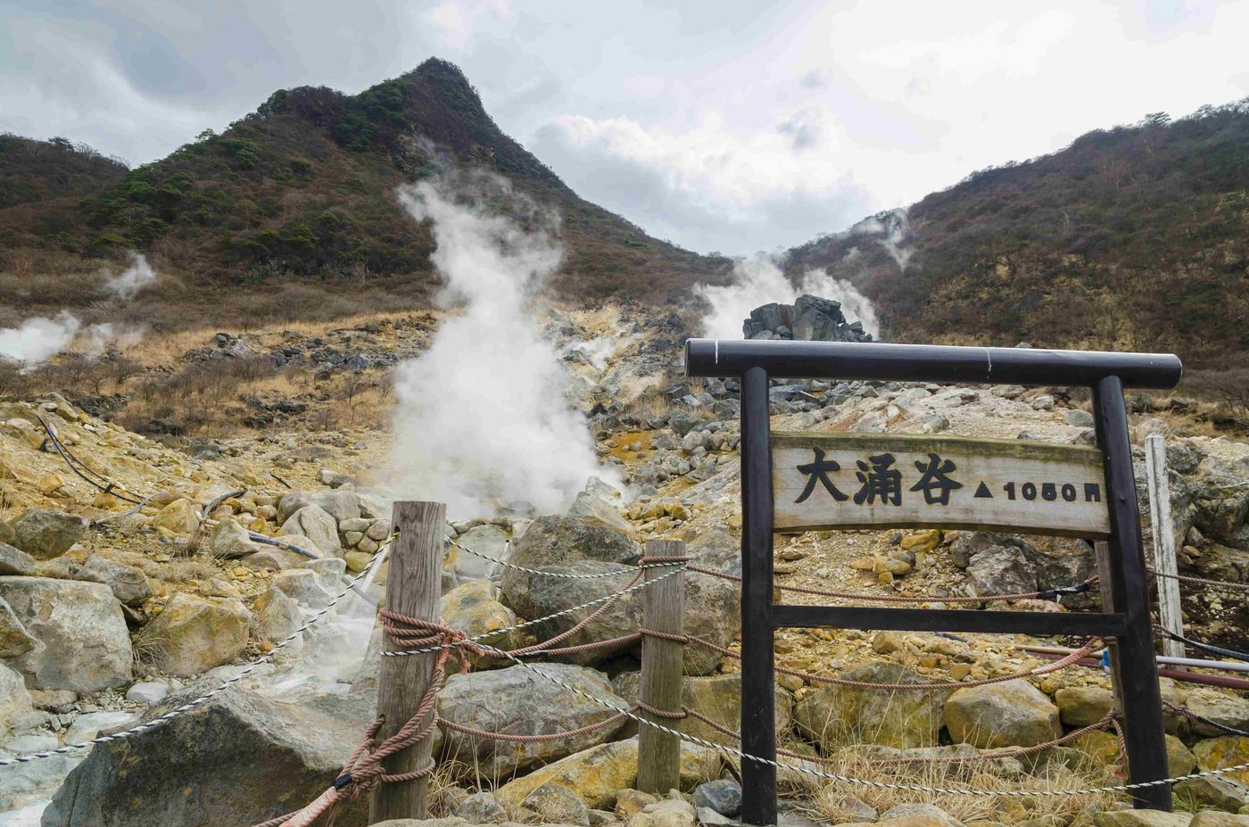 Hakone Volcanic Area
