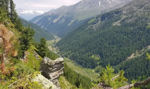 Hotel Schwarzhorn View