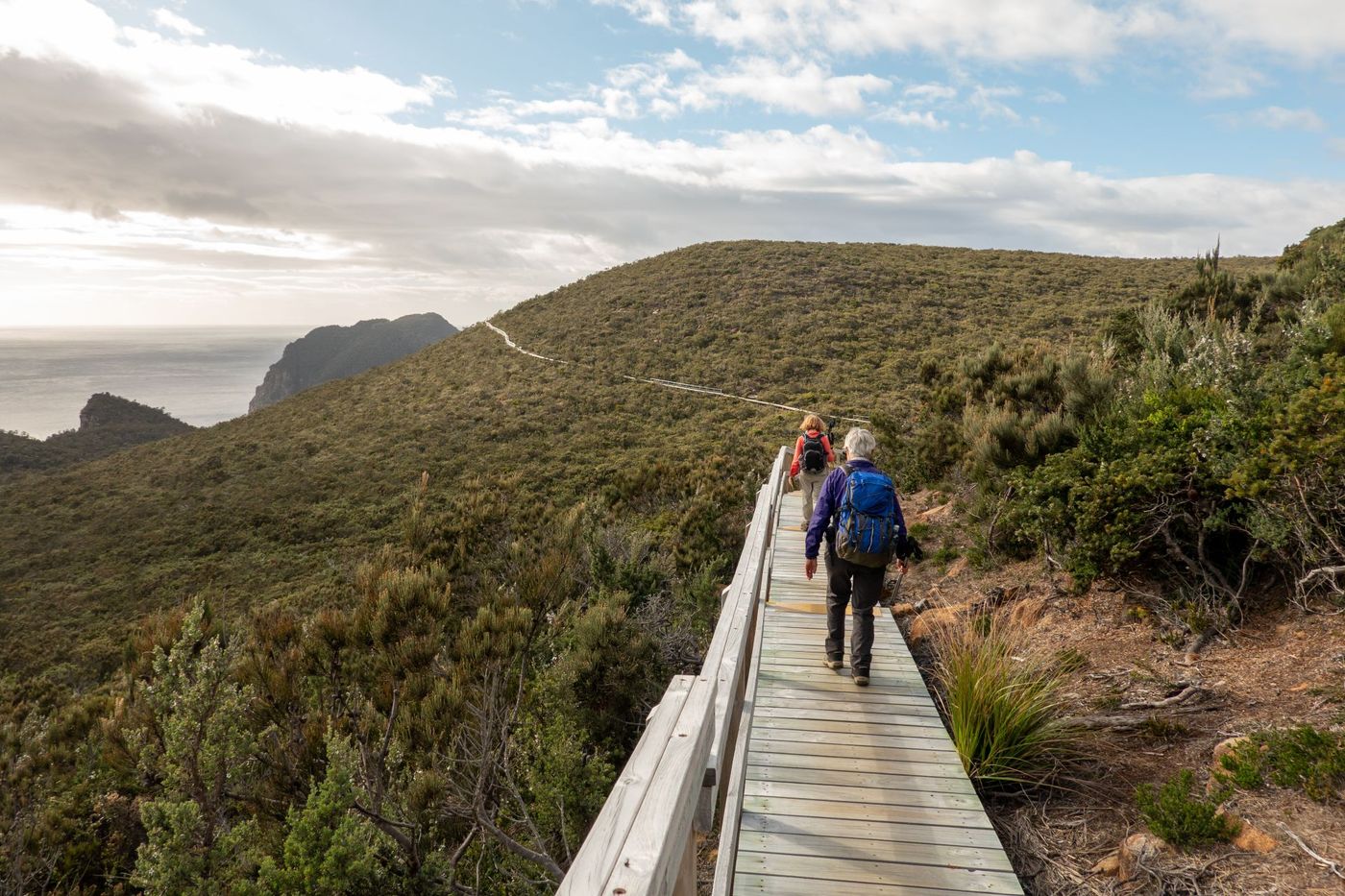 Immense Coastal Cliffs - Three Capes Track