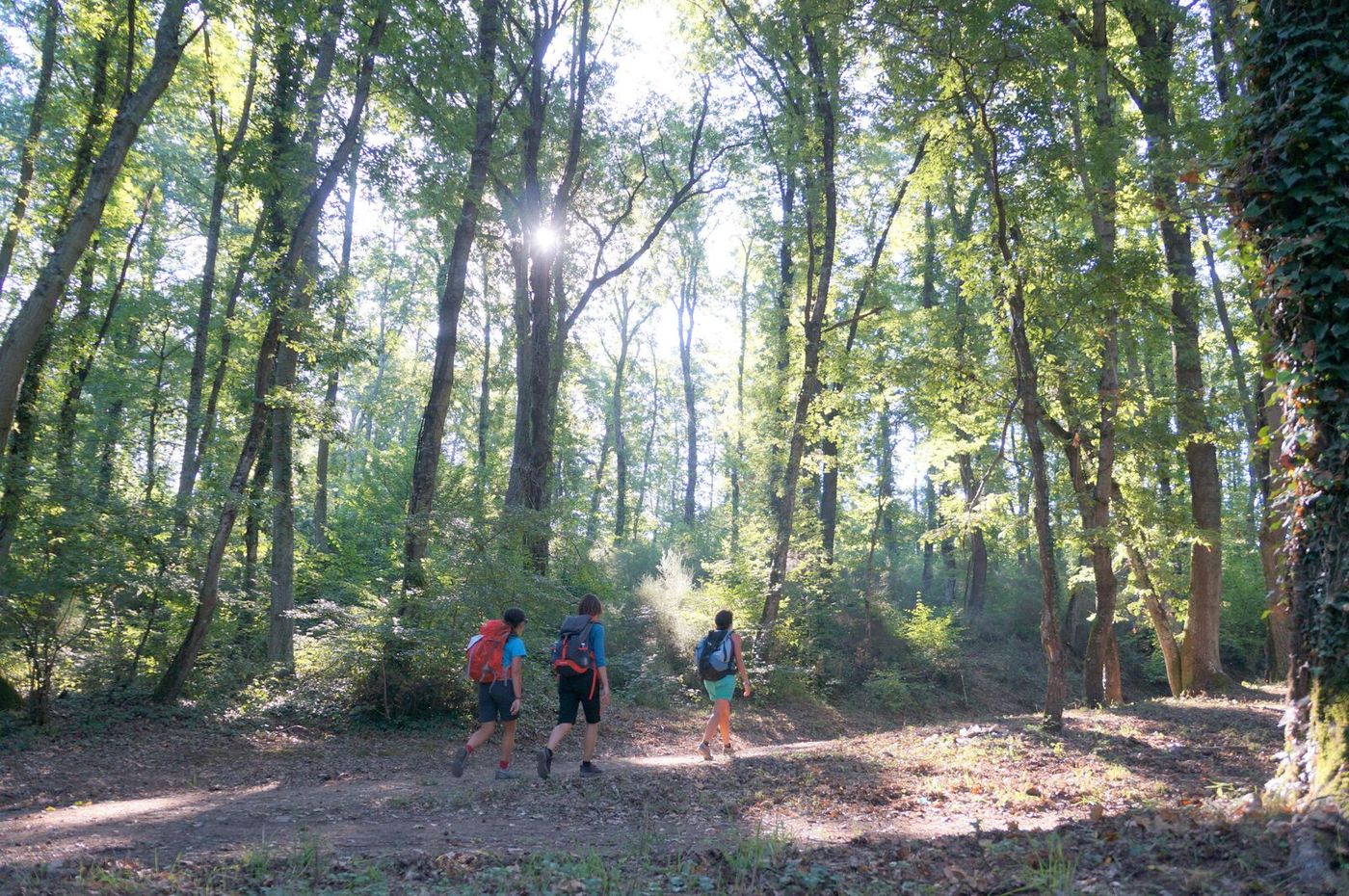In the woods around Sutri Via Francigena