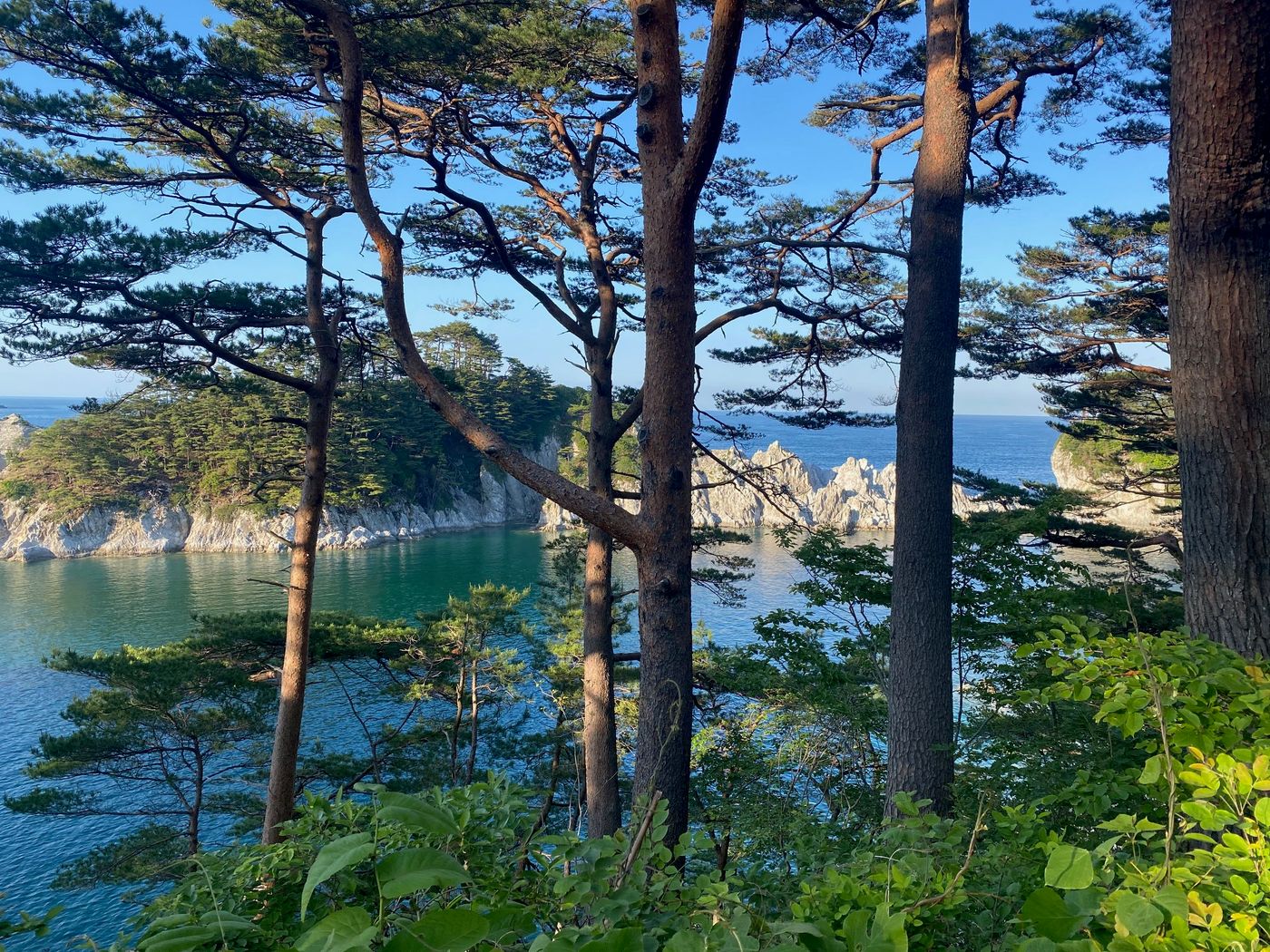Jogodohama beach and rocks Michinoku Coastal Trail 3