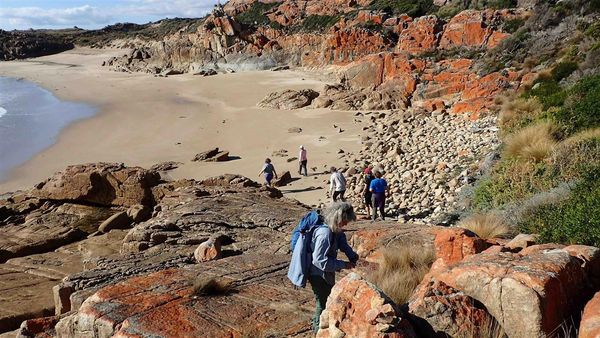 Lichen covered rocks on Flinders Island