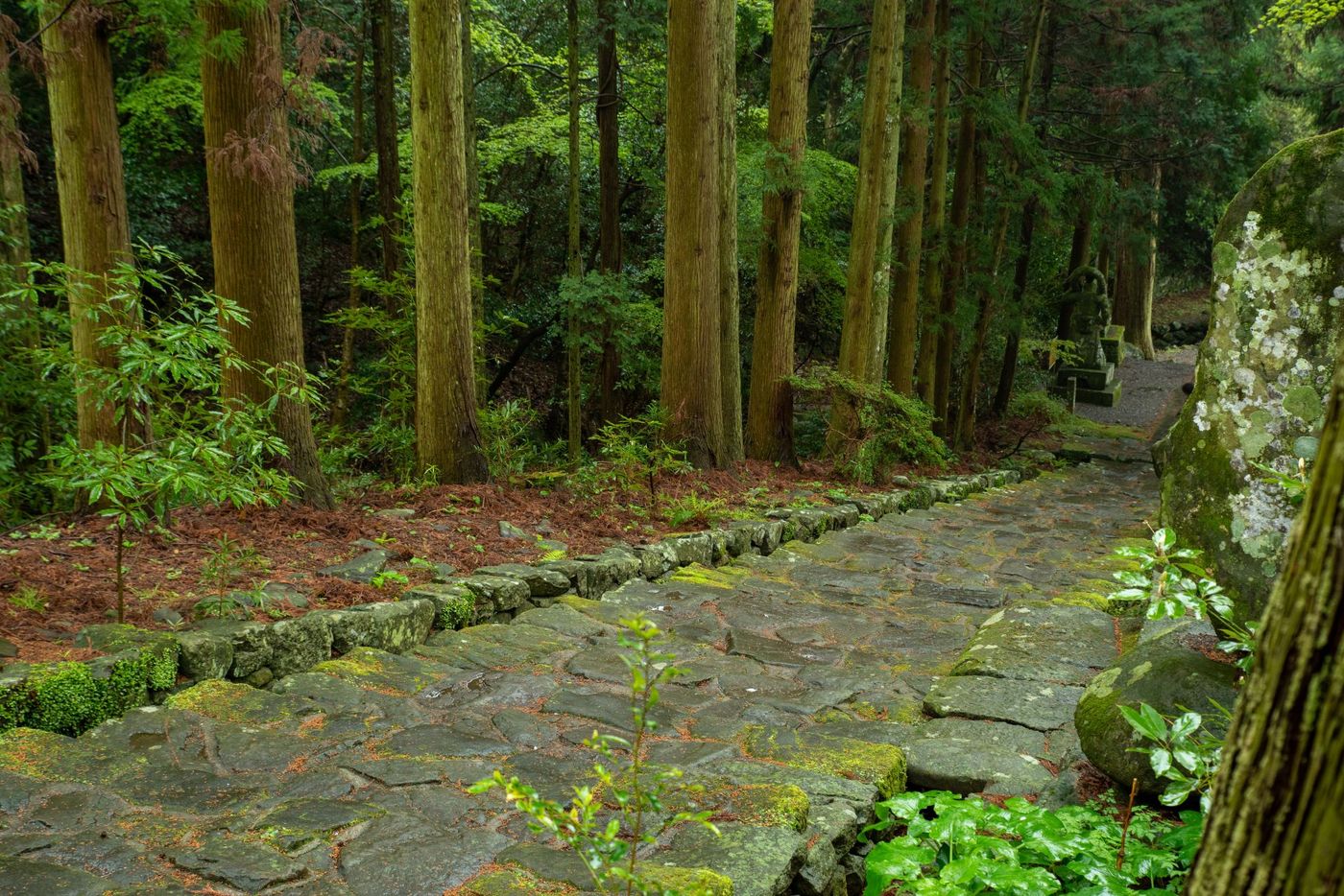 Mossy stone path on Kunisaki Peninsula