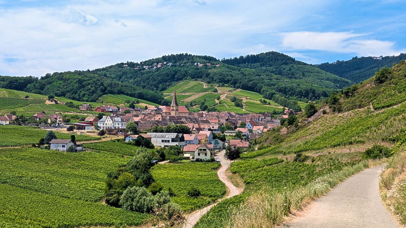 Panoramic view of Ribeauvillé to Kaysersberg route