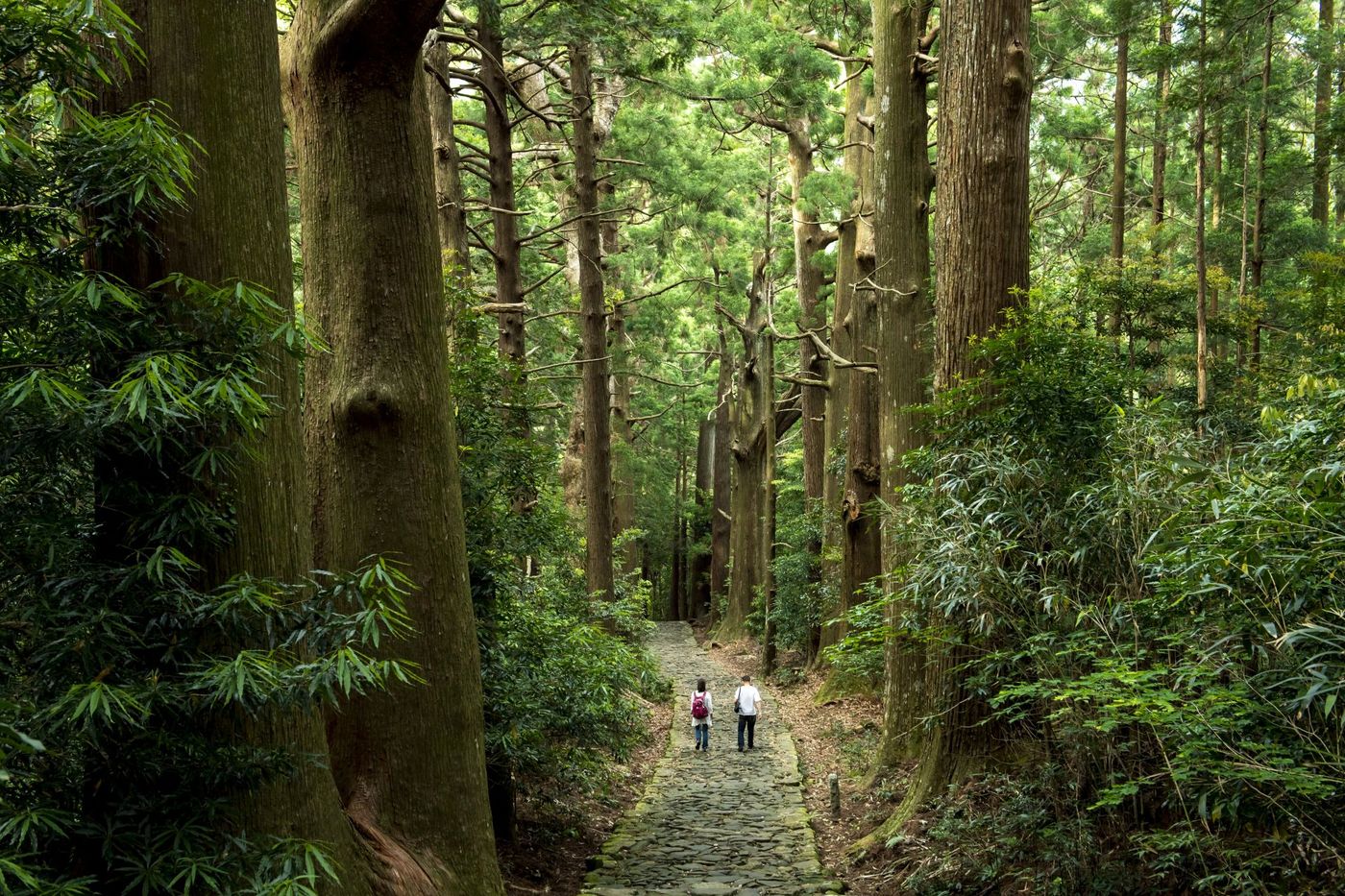 Pilgrims-on-a-Serene-Forest-Path-in-Kumano-Kod?
