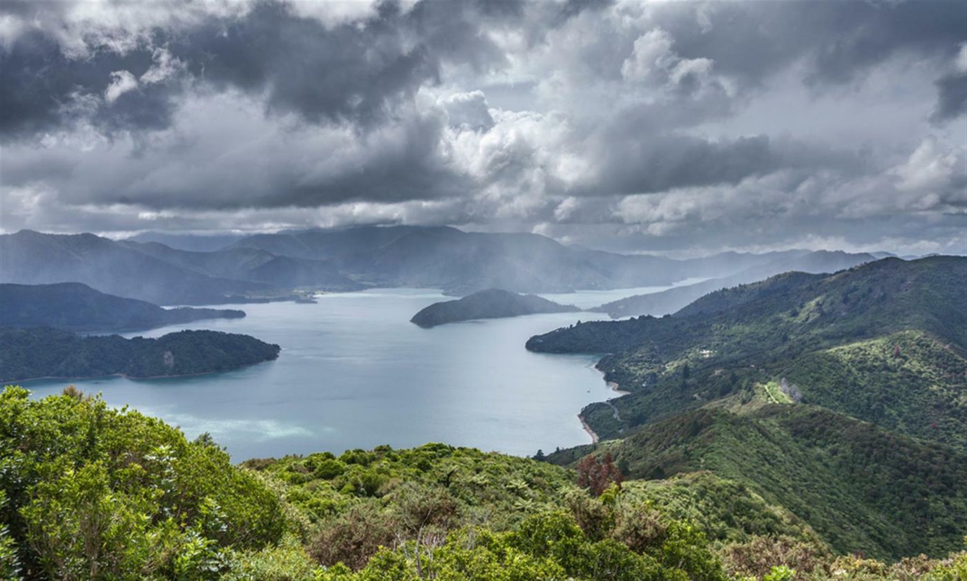 Stormy day on the Queen Charlotte Track