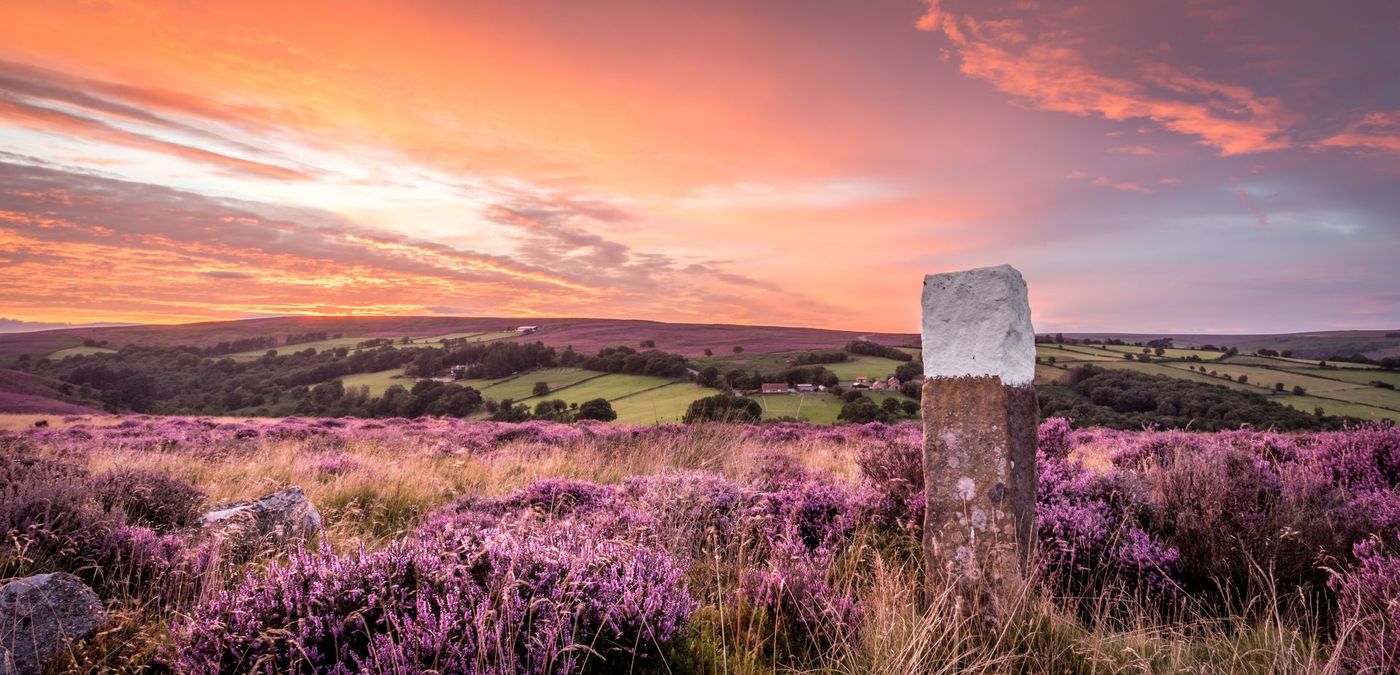 Sunset-over-Purple-Heather-in-the-North-Yorkshire-Moors-National-Park