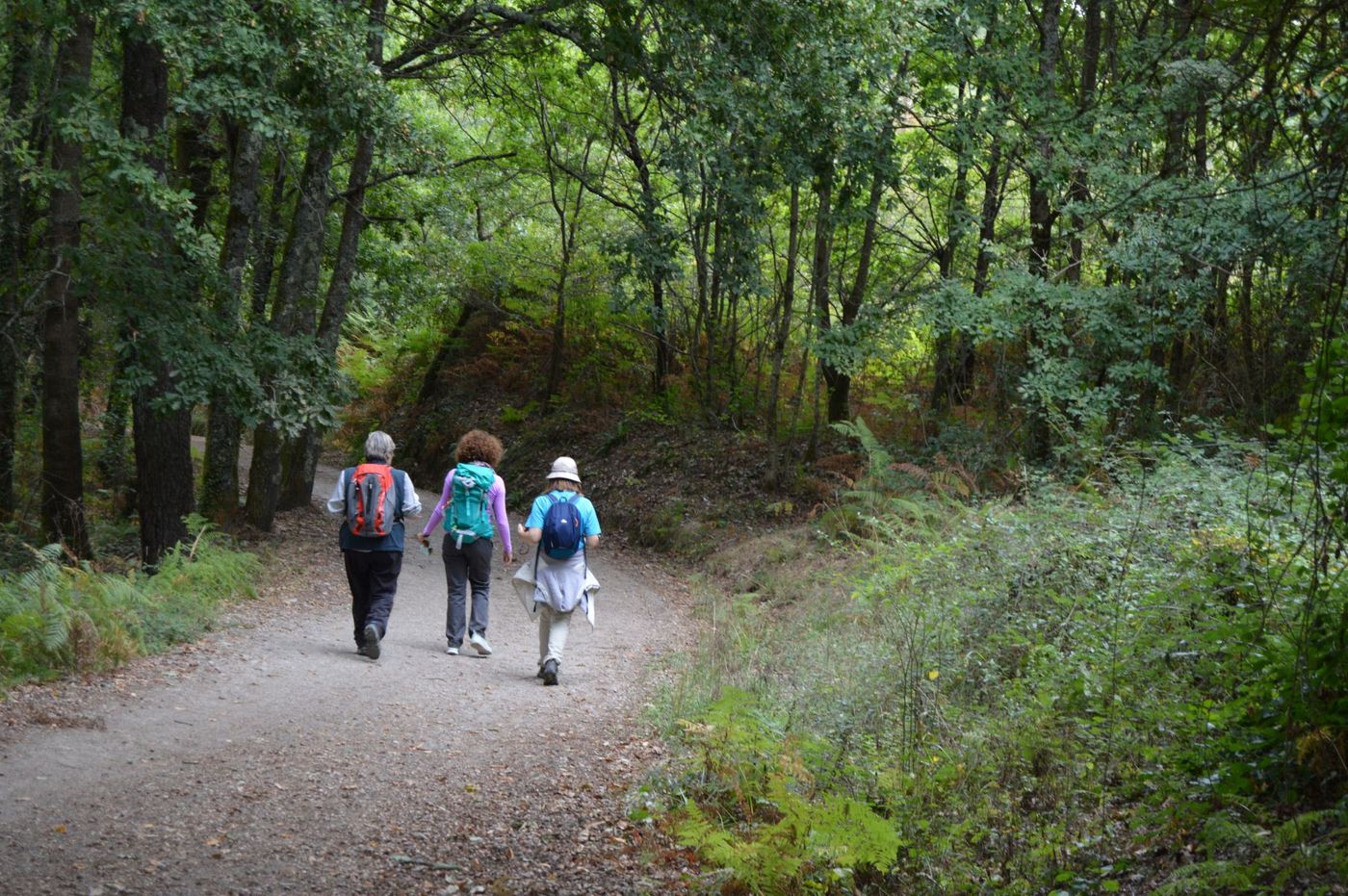 The-Portuguese-Coastal-Camino - Walkers on the Redondela