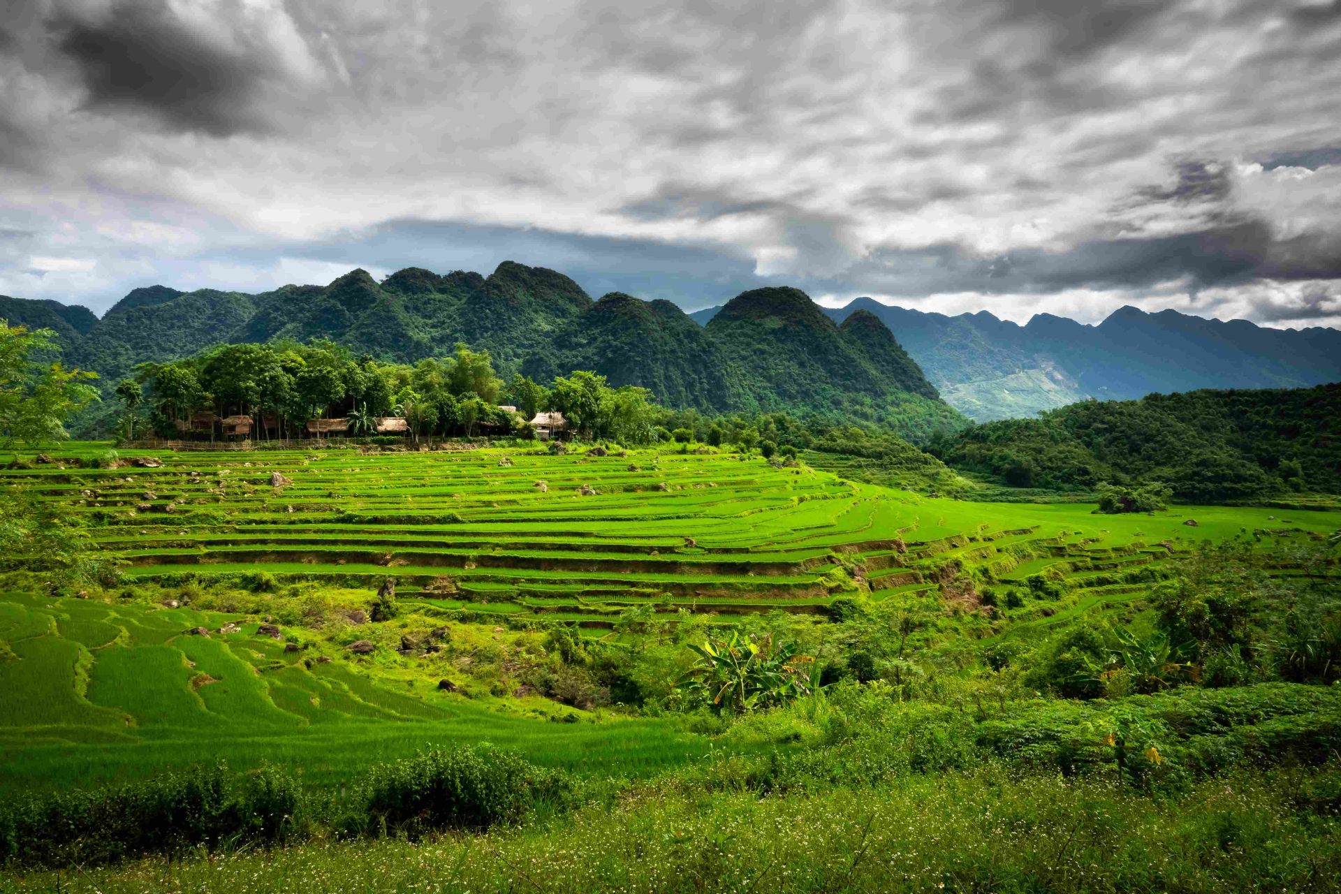 Vietnam