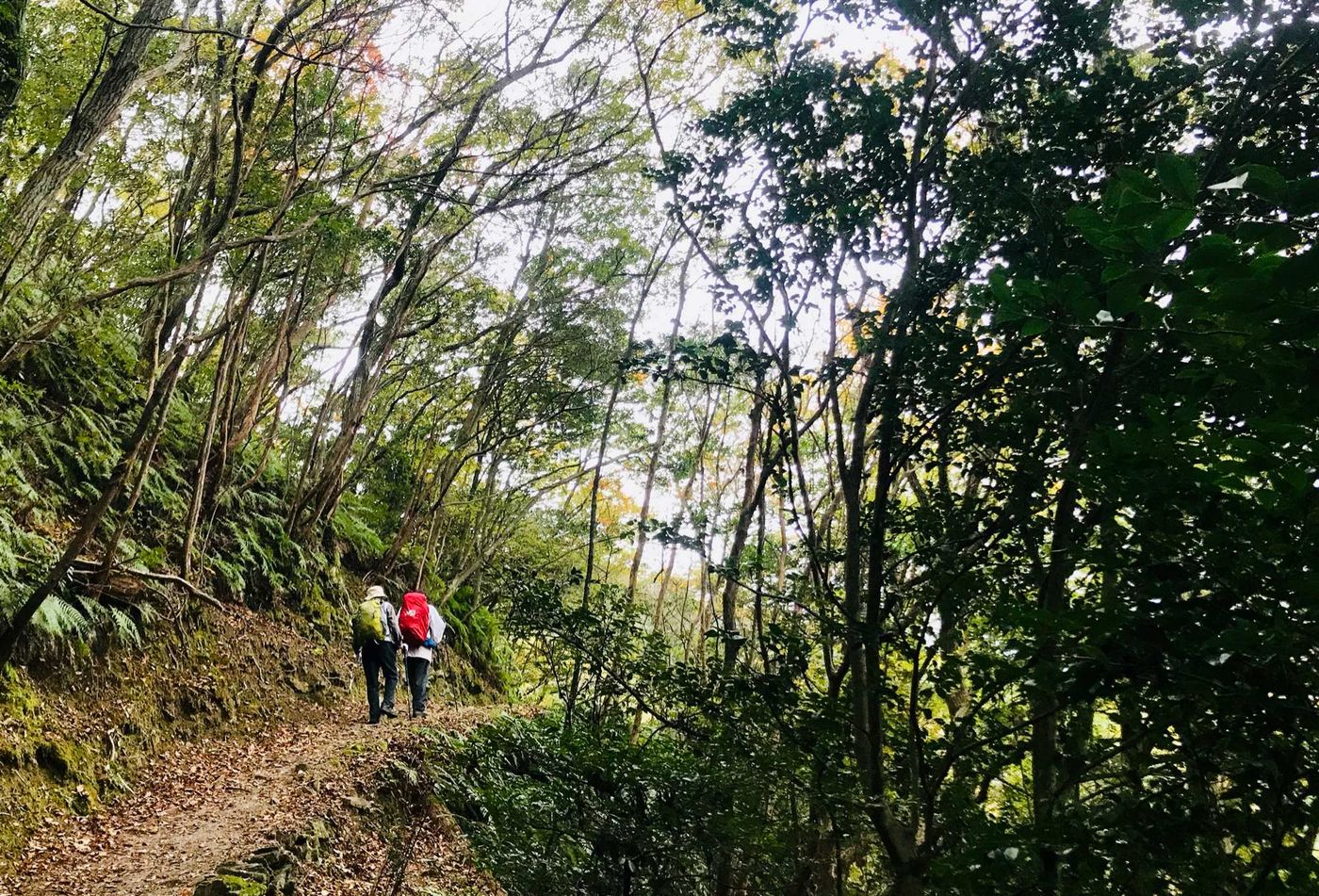 Walkers Shikoku day 2
