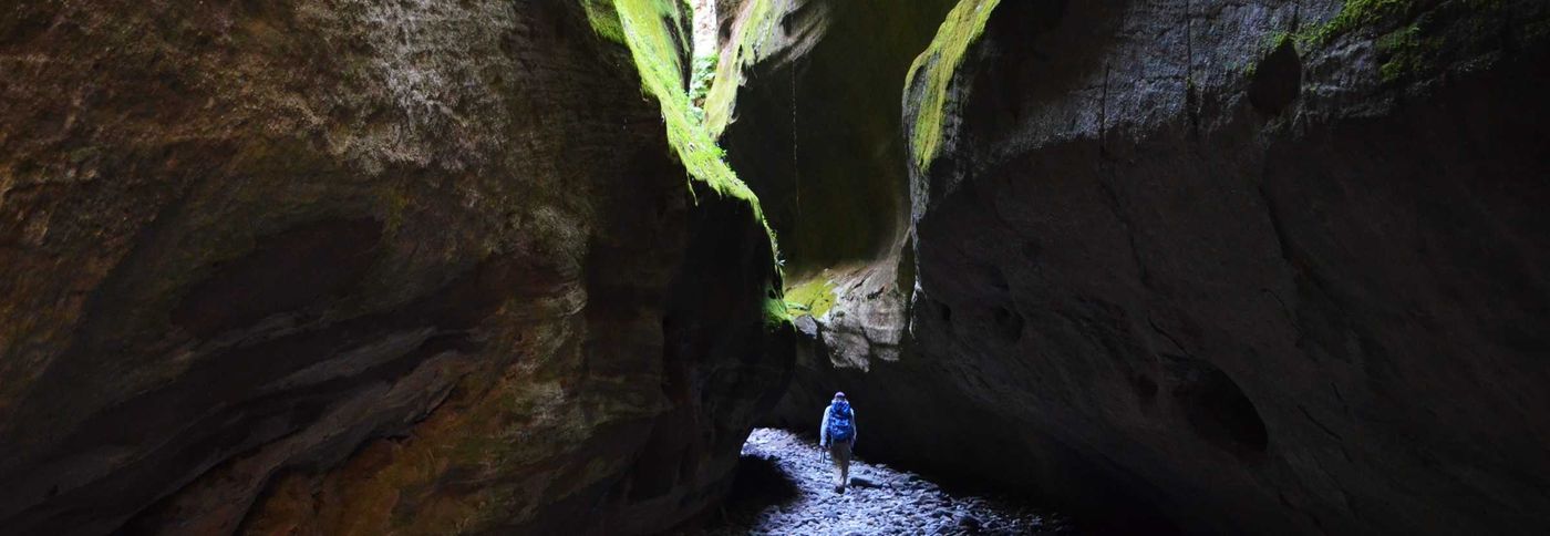 carnarvon gorge accommodation
