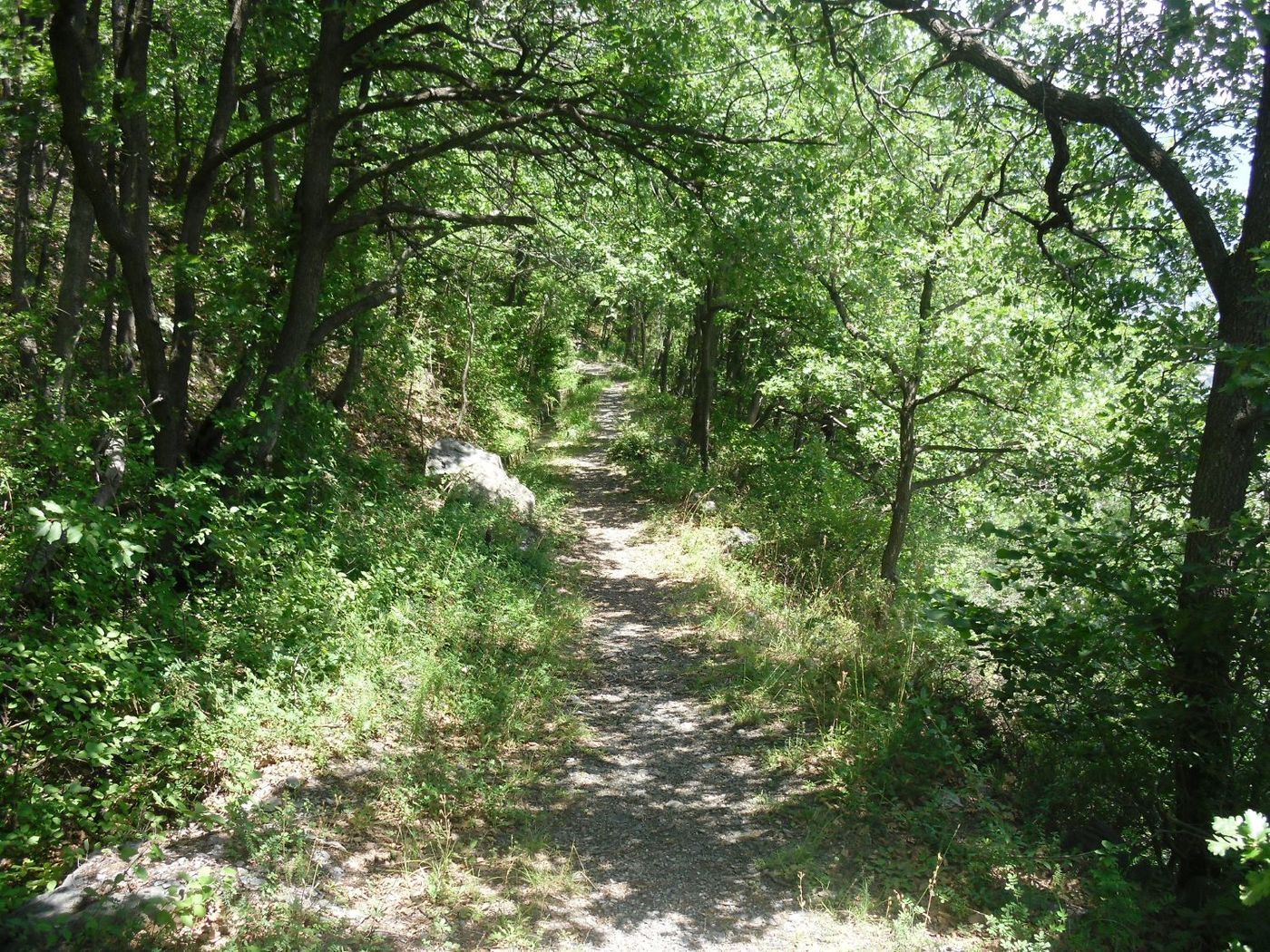forest path aosta-