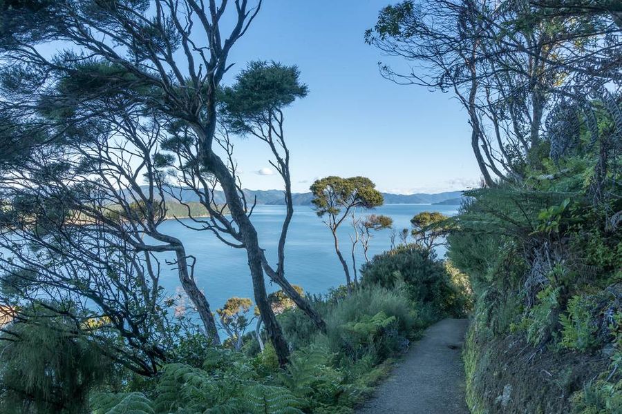 queen charlotte track tours