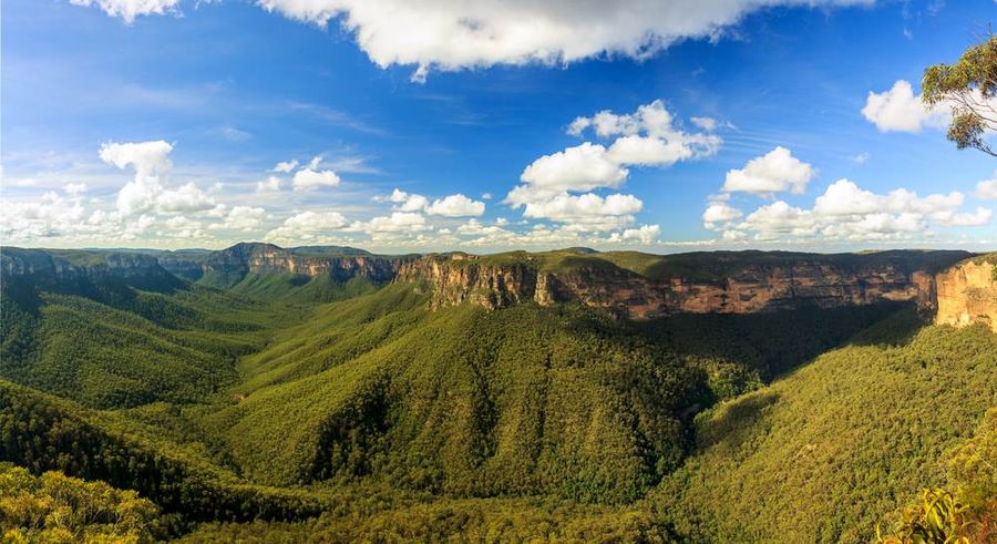 Blue Mountains viewpoint