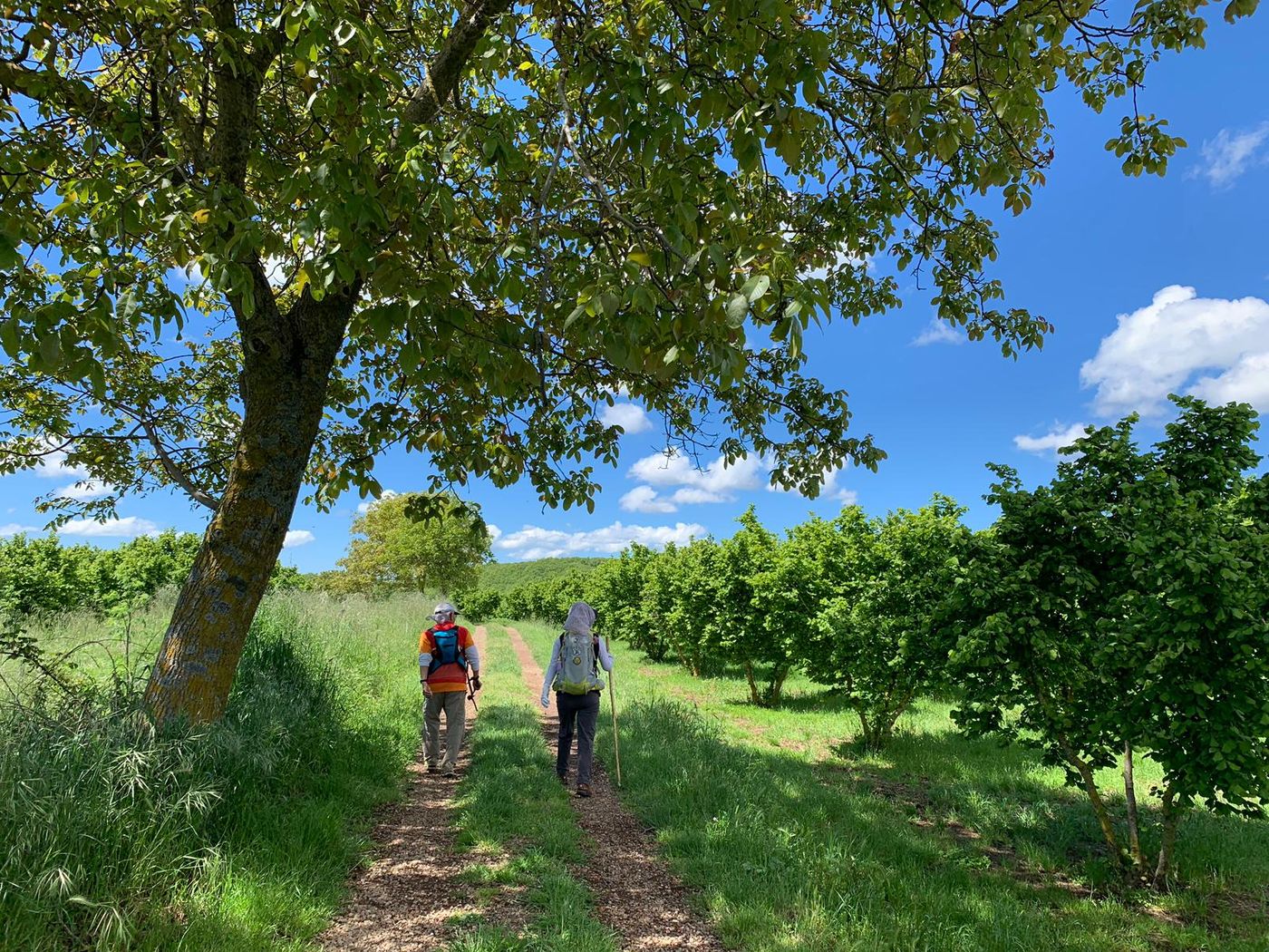 walking to Viterbo